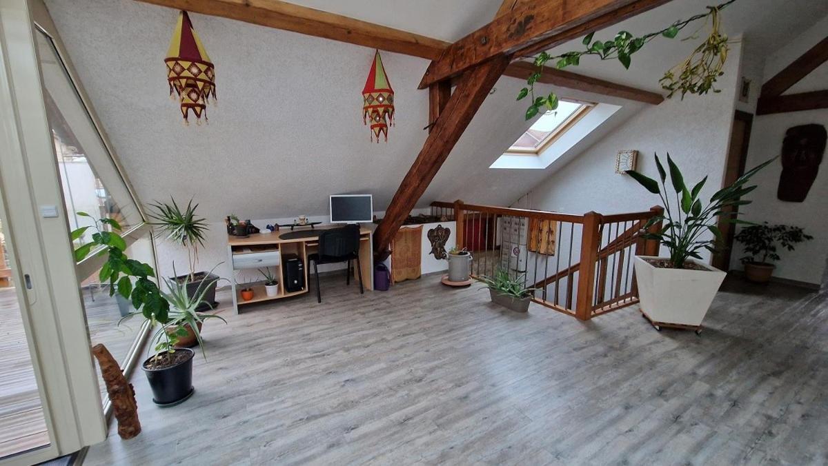 Bel Appartement 120 M² Tres Lumineux Avec Terrasse Morvillars Exterior photo
